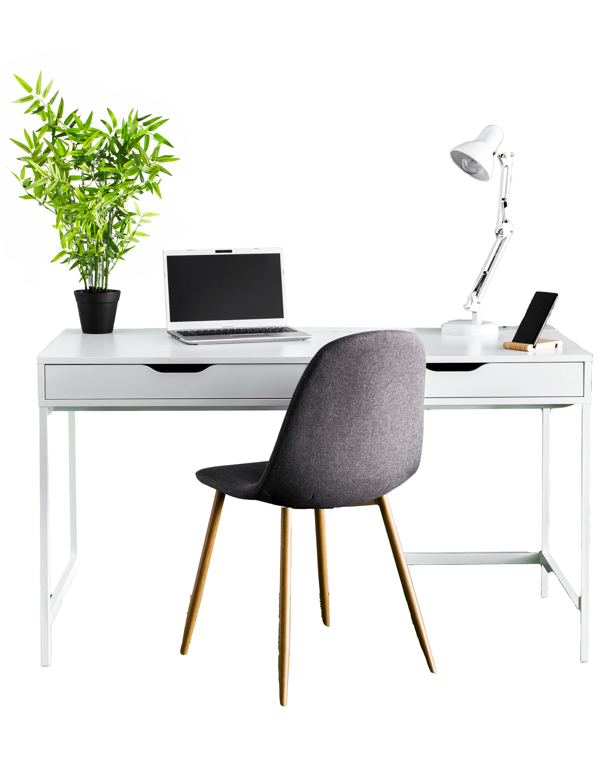 Computer on a desk with a green plant next to it