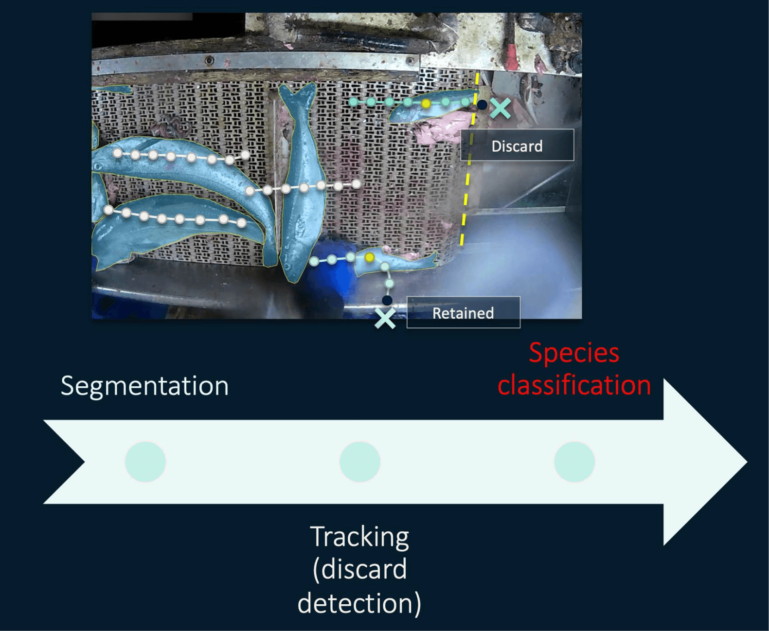 Everyfish ASSIST Software