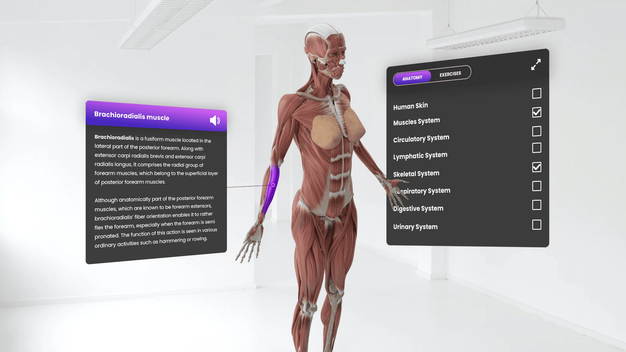3d body